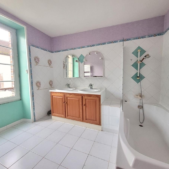  CJS IMMO : Maison / Villa | COURTENAY (45320) | 193 m2 | 280 000 € 